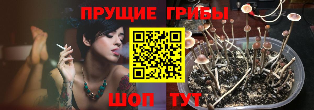 Галлюциногенные грибы Magic Shrooms Йошкар-Ола