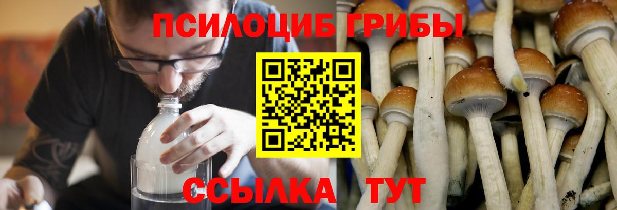 Псилоцибиновые грибы Cubensis  Галлюциногенные грибы ЛСД  Йошкар-Ола  Вход с VPN 